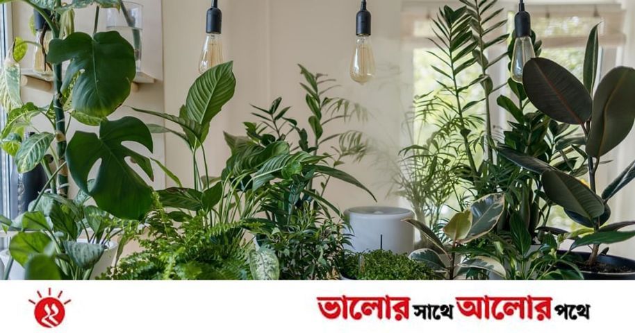 প্রকৃতির সঙ্গে বসবাস | প্রথম আলো