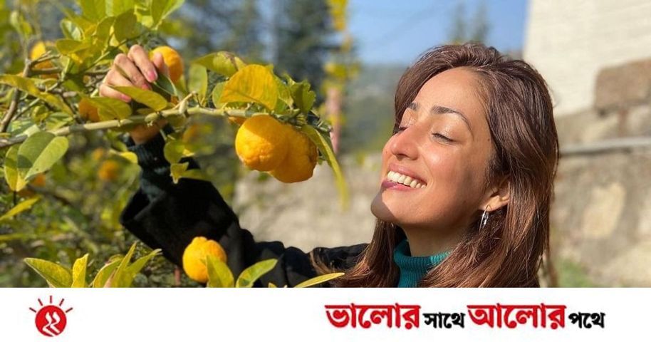 ইয়ামির সৌন্দর্যে ঘি, মধু, ভিনেগার | প্রথম আলো