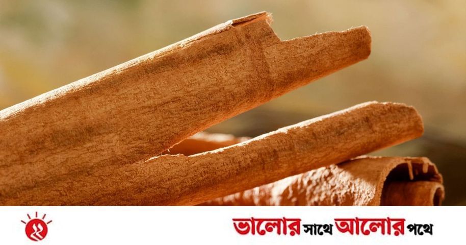 দারুচিনি শুধু মসলা নয়, এর বেশি কিছু | প্রথম আলো