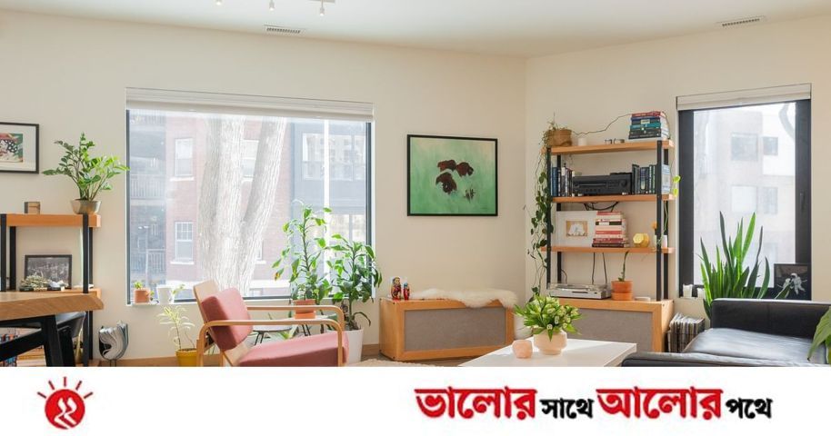 অন্দর সাজুক ভালোবাসায় | প্রথম আলো