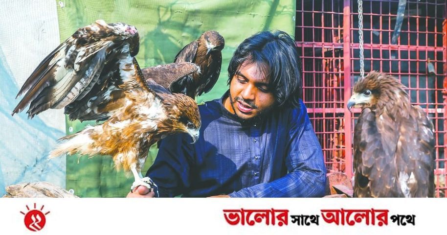 চিলের সঙ্গে মিল | প্রথম আলো