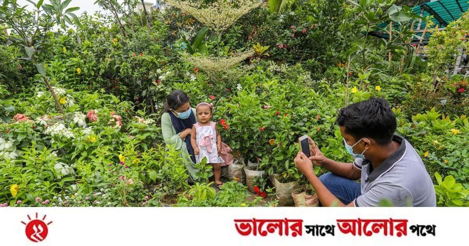 গাছ কেনা  | প্রথম আলো