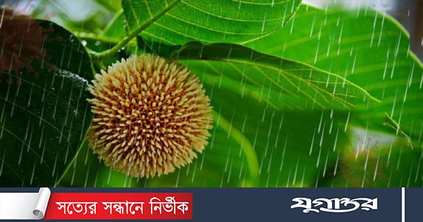 আষাঢ়ের প্রথম দিন আজ