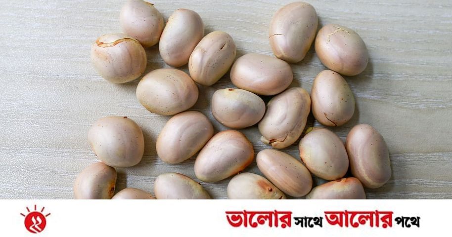 কাঁঠালের বীজে রূপচর্চা | প্রথম আলো