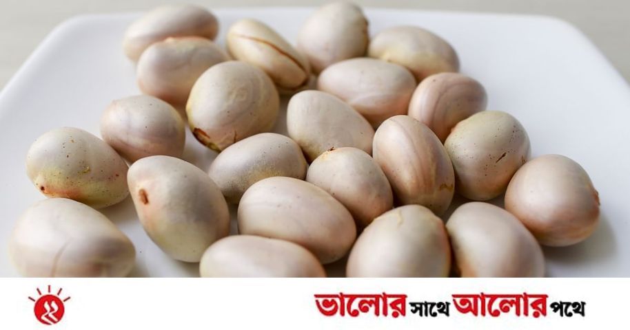 কাঁঠালের বিচির গুণাগুণ  | প্রথম আলো