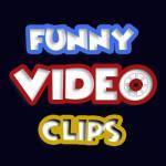 Funny Video Clips