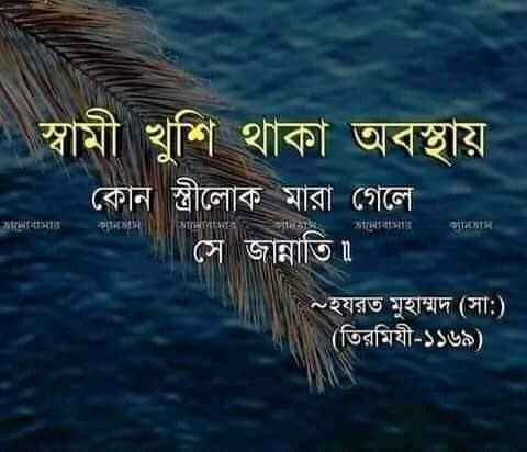 স্ত্রীর কাছে স্বামীর ১৭ টি হক আছে - Alor Dishari - আলোর দিশারী