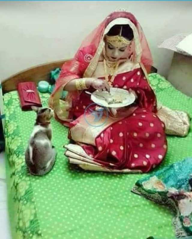 বাসর রাতের গল্প - Love Story BD | ভালবাসার গল্প