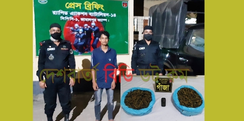 শেরপুরে গাঁজাসহ এক মাদক ব্যবসায়ী গ্রেফতার | দেশ বার্তা বিডি