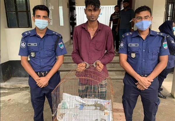 মহেশপুরে দেড় লাখ টাকার তক্ষকসহ আটক ১ | বাঙলা প্রতিদিন ২৪.কম