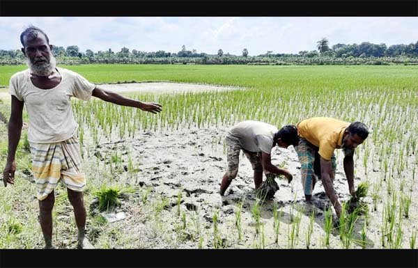 ভোক্তা অধিকারে অভিযোগ করে ক্ষতিপুরণ পেল ঝিনাইদহের ৭ কৃষক | বাঙলা প্রতিদিন ২৪.কম