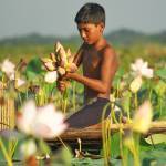 আমাদের প্রকৃতি - Our Nature