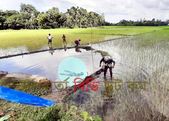 শেরপুরে নিখোঁজের ১৮ দিন পর শিক্ষার্থীর লাশ উদ্ধার | দেশ বার্তা বিডি