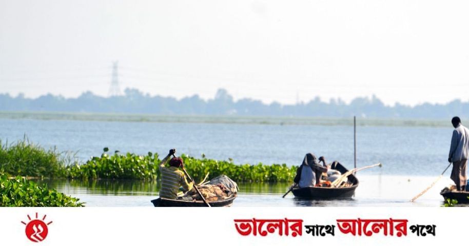 চলনবিলে বেড়ানোর শ্রেষ্ঠ সময় কখন? | প্রথম আলো