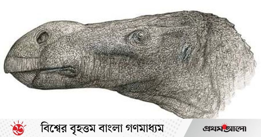লম্বা নাকের নতুন প্রজাতির ডাইনোসরের সন্ধান | প্রথম আলো