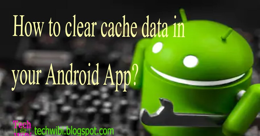 How to clear cache data in  your Android App?