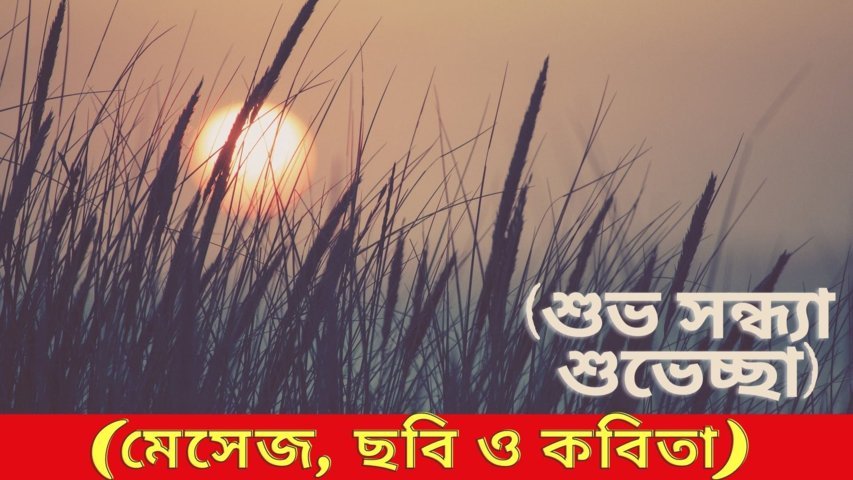 100+ শুভ সন্ধ্যা শুভেচ্ছা (এসএমএস, পিকচার, কবিতা)