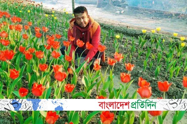 হিমশীতল দেশের ফুল এখন যশোরে | Online Version