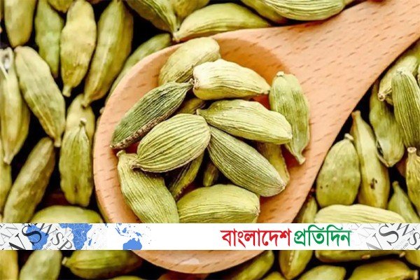 নিয়মিত এলাচ খেলে পাবেন যেসব উপকার | Online Version