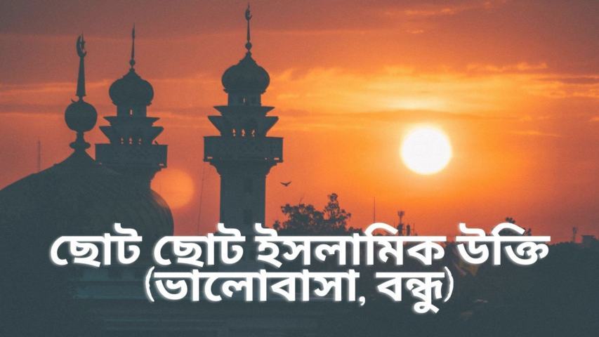 250+ ছোট ছোট ইসলামিক উক্তি (জীবন, ভালোবাসা, বন্ধু)