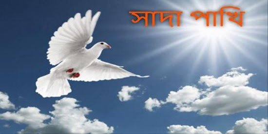 সাদা পাখি – রূপকথার গল্প - Golper Asor