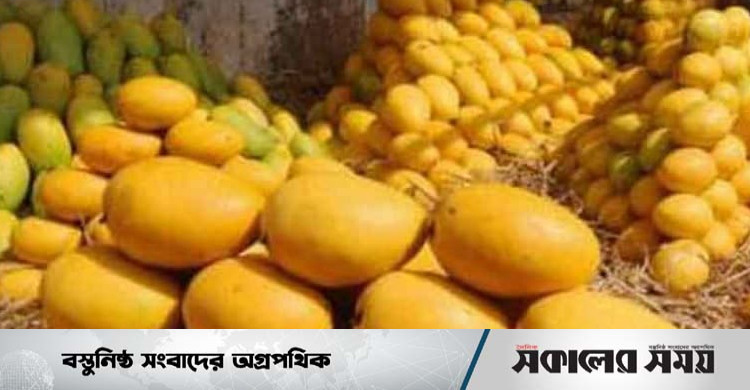 কৃত্রিমভাবে পাকানো আম চেনার সহজ উপায় | সকালের সময়