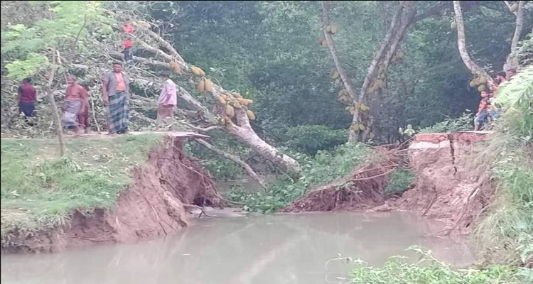 শৈলকুপায় কর্মকর্তার উদাসিনতায় জনদূর্ভোগ চরমে | বাঙলা প্রতিদিন ২৪.কম