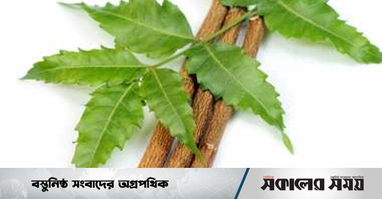 নিমের ডাল দিয়ে দাঁত মাজার উপকারিতা | সকালের সময়
