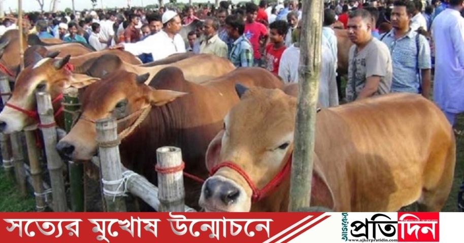 সারা দেশে ৪৪০৭টি পশুর হাট, মানতে হবে স্বাস্থ্যবিধি