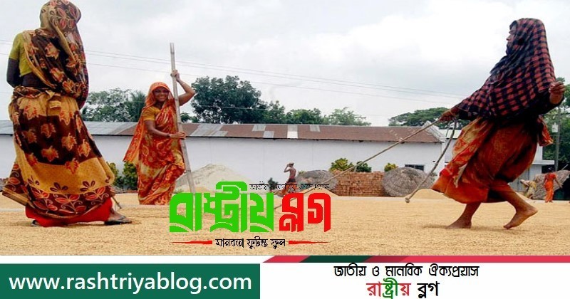 সরকার লোড-শেডিং দিতে বাধ্য হওয়ায় এ ব্যাপারে দেশবাসীর সহযোগিতা চেয়েছেন প্রধানমন্ত্রী – রাষ্ট্রীয় ব্লগ-Rashtriya Blog