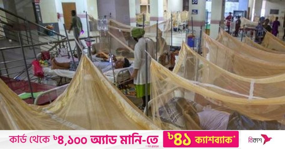 ডেঙ্গুতে আরও একজনের প্রাণহানি, শনাক্ত ৮০ | NTV Online