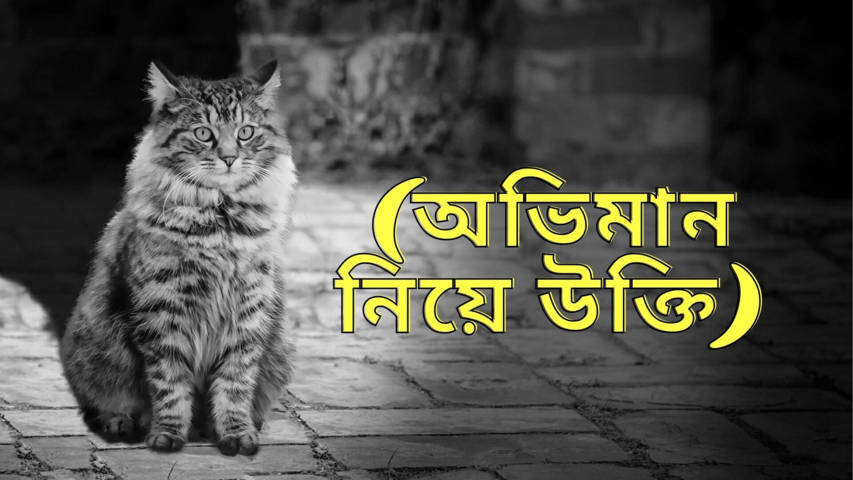 অভিমান নিয়ে উক্তি (ক্যাপশন, স্ট্যাটাস ও বাণী)