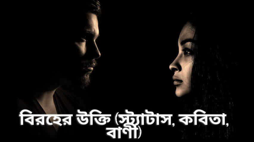 বিরহের উক্তি (স্ট্যাটাস, কবিতা, বাণী)