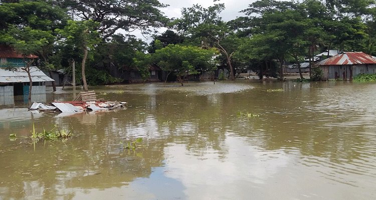কলাপাড়ায় বেড়িবাঁধ ভেঙ্গে হাজার বিঘা ফসলী জমি পানির নিচে | বাঙলা প্রতিদিন ২৪.কম