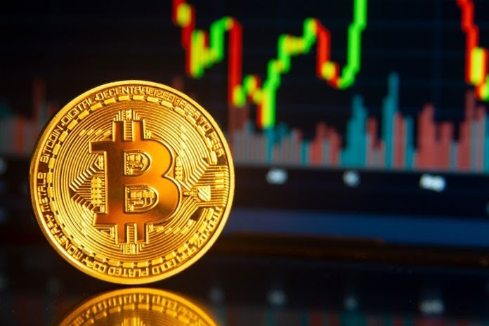 【 2022】Big Peru Bitcoin Telegram Group- Crypto Perú  Oficial