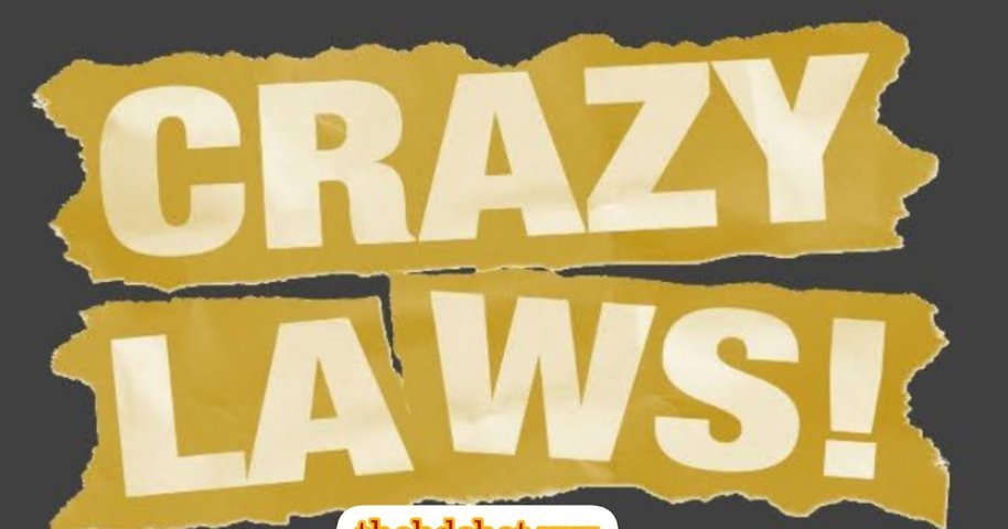 বিশ্বের বিভিন্ন দেশের অদ্ভুত ৫ টি আইন ২০২২