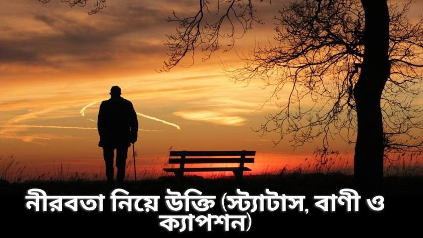 নীরবতা নিয়ে উক্তি (স্ট্যাটাস, বাণী ও ক্যাপশন)
