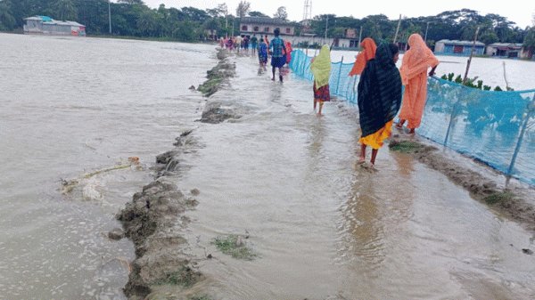 হাতিয়ার নিঝুম দ্বীপের ৯ গ্রামের ৪০ হাজার মানুষ পানিবন্দি