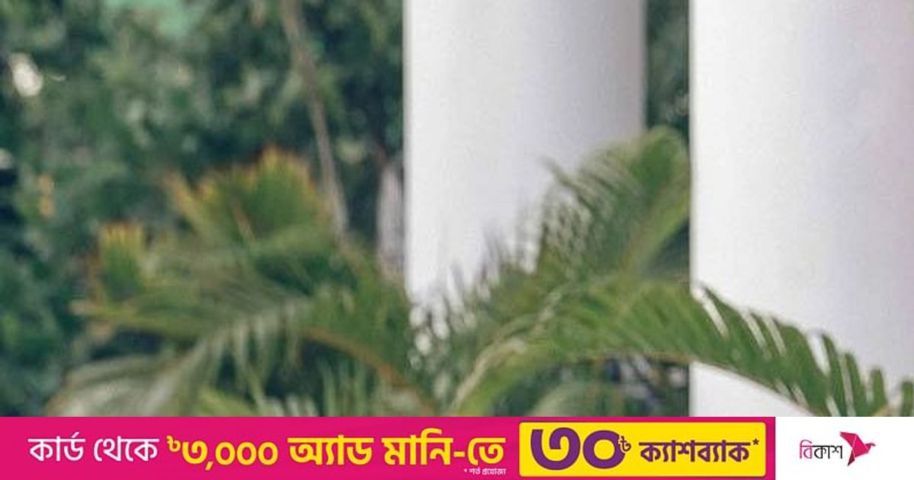 গান নিয়ে দুনিয়া ঘুরছেন সেই ইয়োহানি | প্রথম আলো