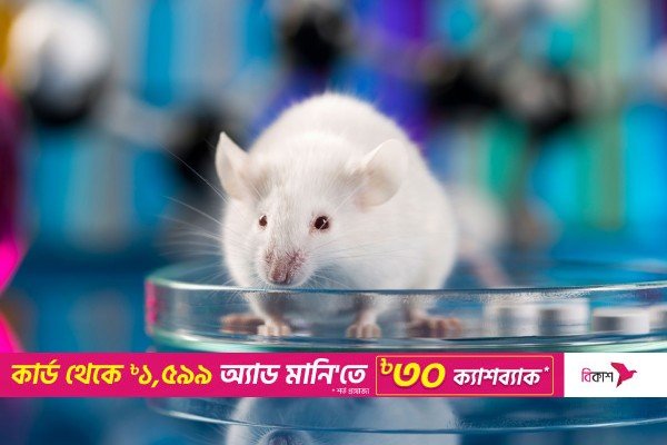 বিশ্বের প্রথম 'সিন্থেটিক ভ্রূণ' তৈরির দাবি বিজ্ঞানীদের | Online Version