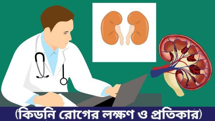 kidney কি? | কিডনি রোগের লক্ষণ ও প্রতিকার