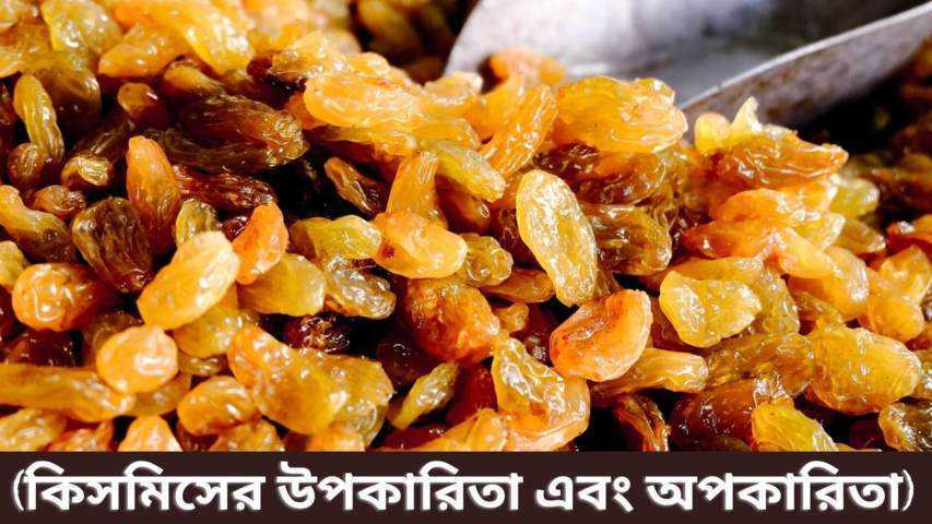কিসমিসের উপকারিতা এবং অপকারিতা (১০ গুণ)