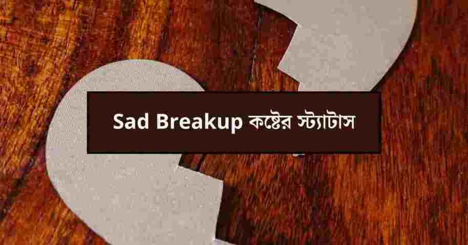 Sad Breakup কষ্টের স্ট্যাটাস [35+ স্ট্যাটাস ছবি সহ] - Statusify