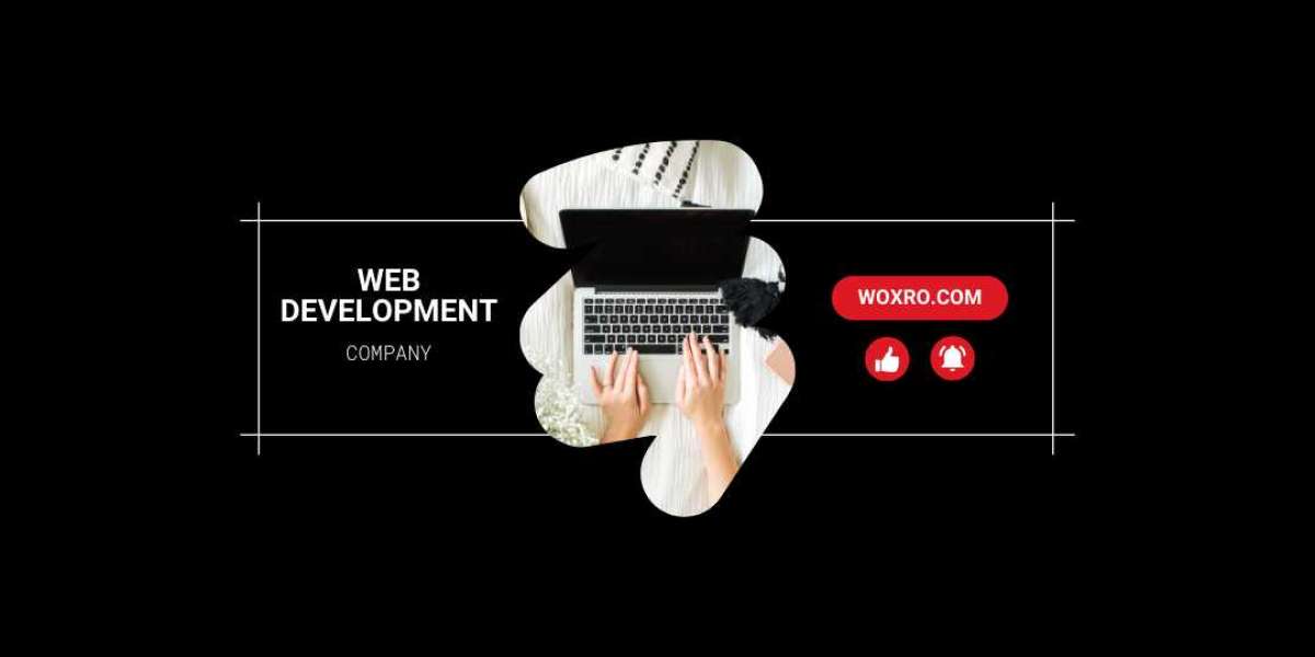 global software and web development company