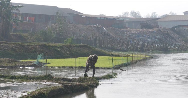 নদীর জমি দখলে ছোট হচ্ছে সীমানা - বাঙলা প্রতিদিন