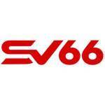 SV66 news