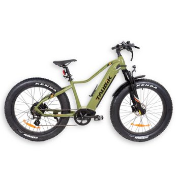 Electric Bikes for Sale in Canada | Electric Bikes for Adults