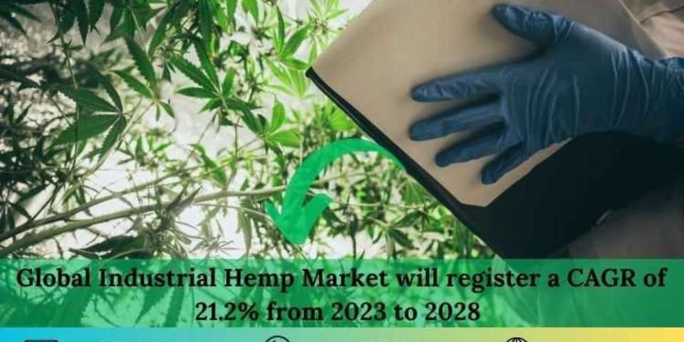 Global Industrial Hemp Market will register a CAGR of 21.2% from 2023 to 2028 – Renub Research