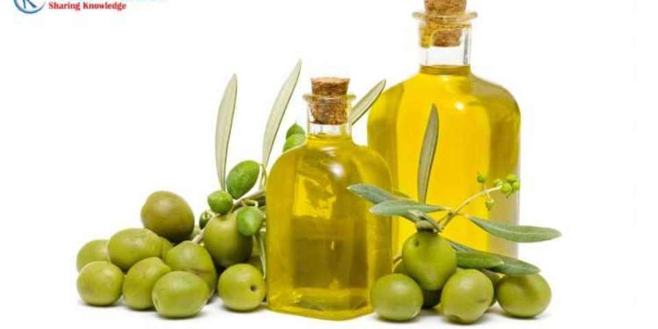 Olive Oil Market, Size, Share | Growth Forecast | 2028