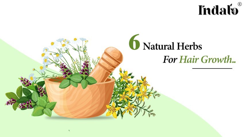 6 Natural Herbs For Hair Growth  – Indalo